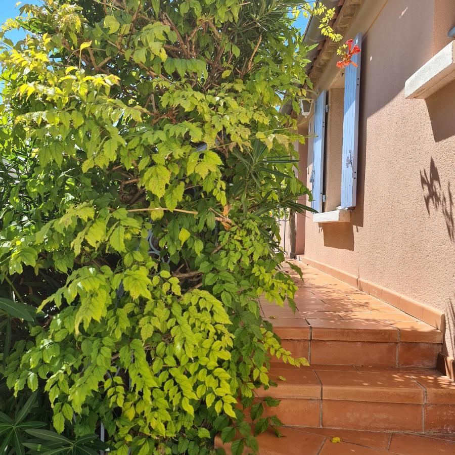 Hameau Des Amandiers - Vue Mer, Golf Et Vignes Apartment Saint-Cyr-sur-Mer Exterior photo